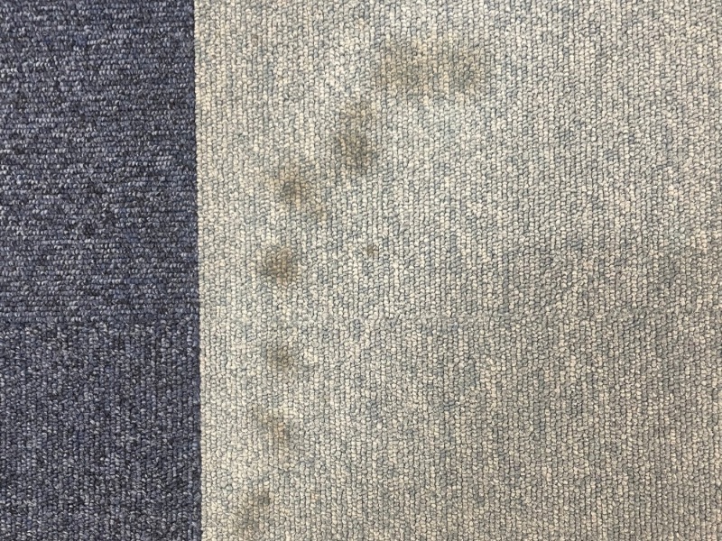 荒川区オフィスビルのカーペット、コーヒーのシミ除去ビフォーアフター。施工で清潔感を回復した様子。