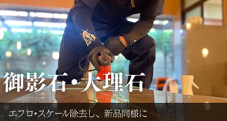 特殊再生技術