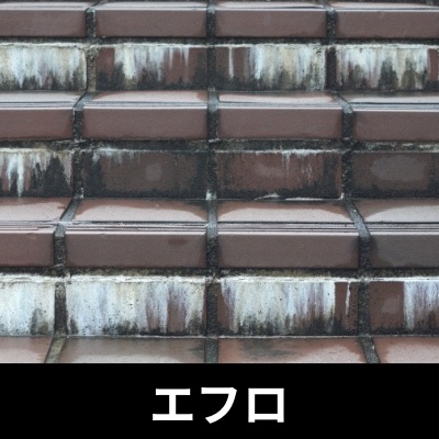 御影石の表面に白く浮き出たエフロが広がっている様子