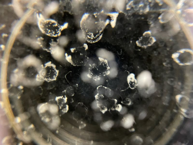 なぜ水垢は「再発」するのか？知られざる3つのフェーズ