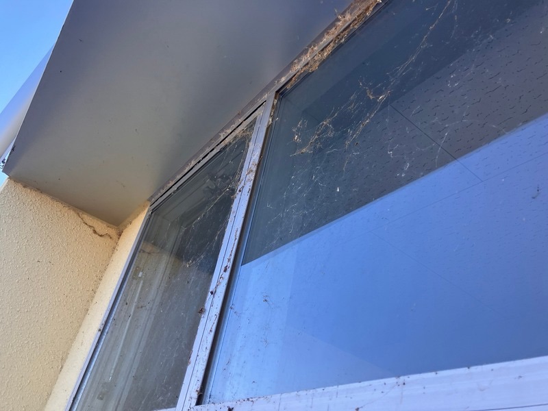 窓枠にびっしりと付着した、清掃が必要な蜘蛛の巣の様子