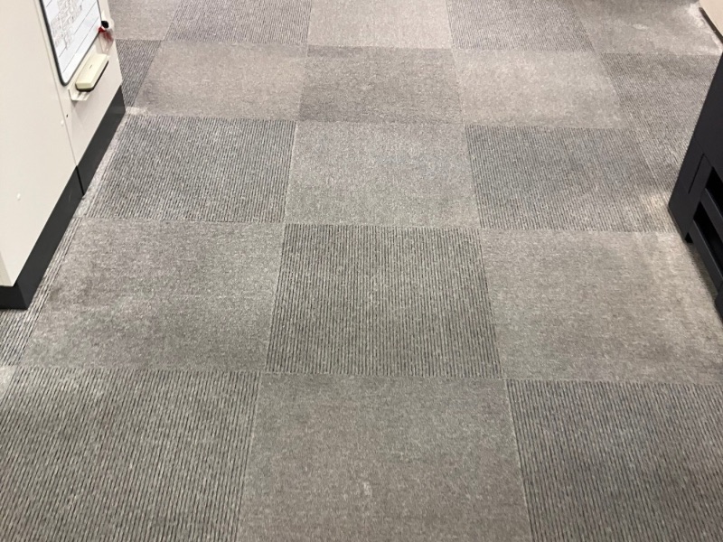 特殊洗浄によりシミが完全に除去されたオフィスカーペット