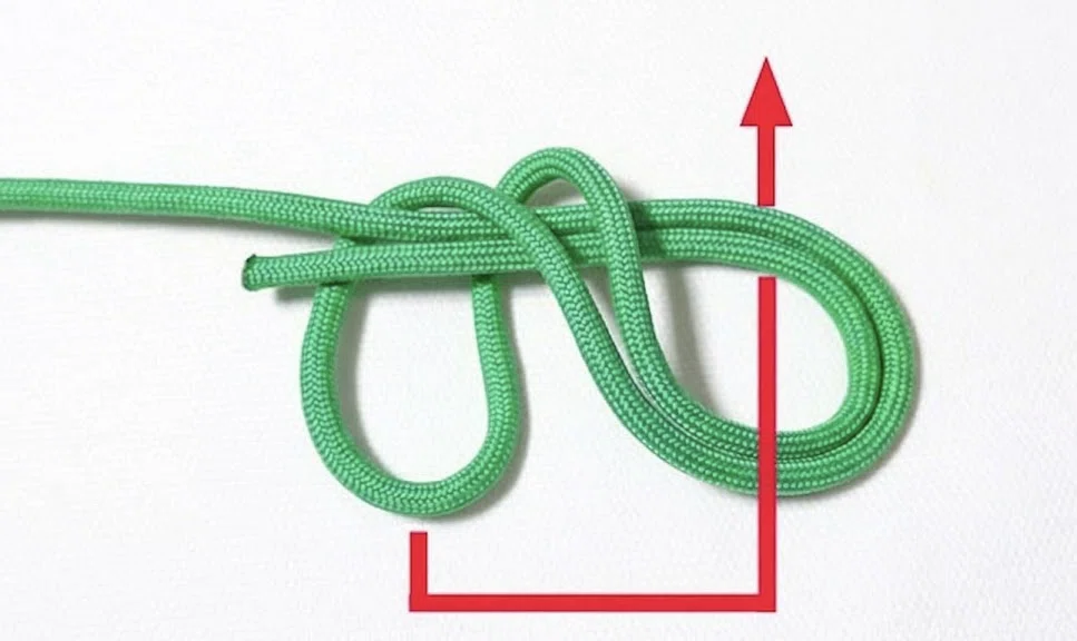 輪の中にロープの先端を前から通すエイトノットの結び方ステップ2