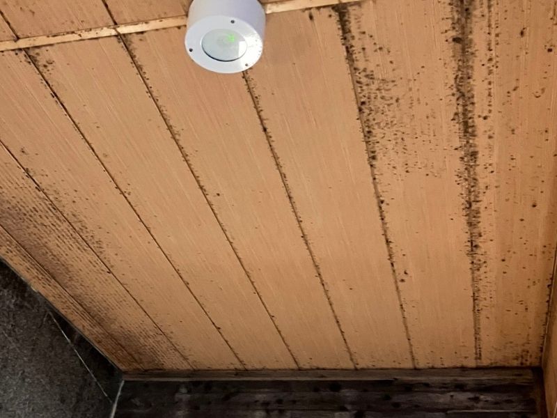 カビ専用の洗剤を使用し、壁を徹底クリーニング
