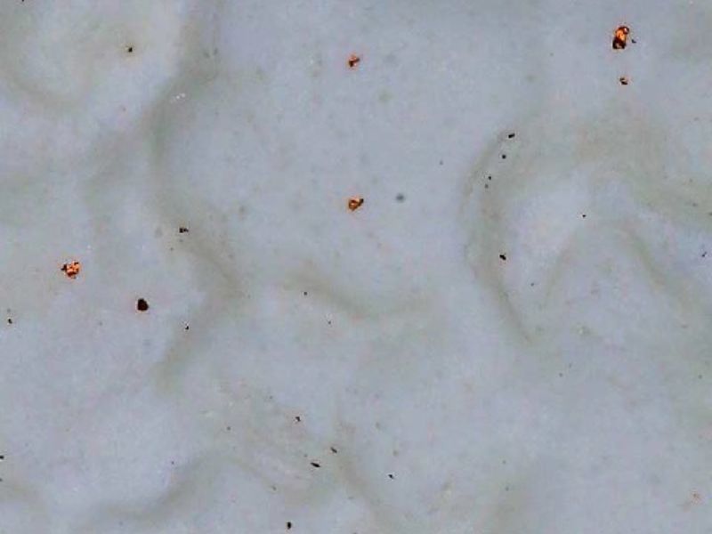 群馬県伊香保の旅館。光触媒コーティング施工後、簡易顕微鏡で確認