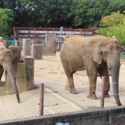 動物園