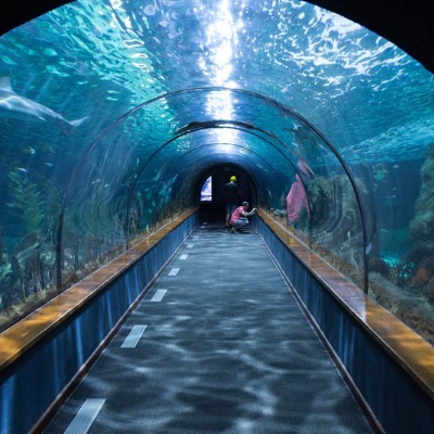 水族館