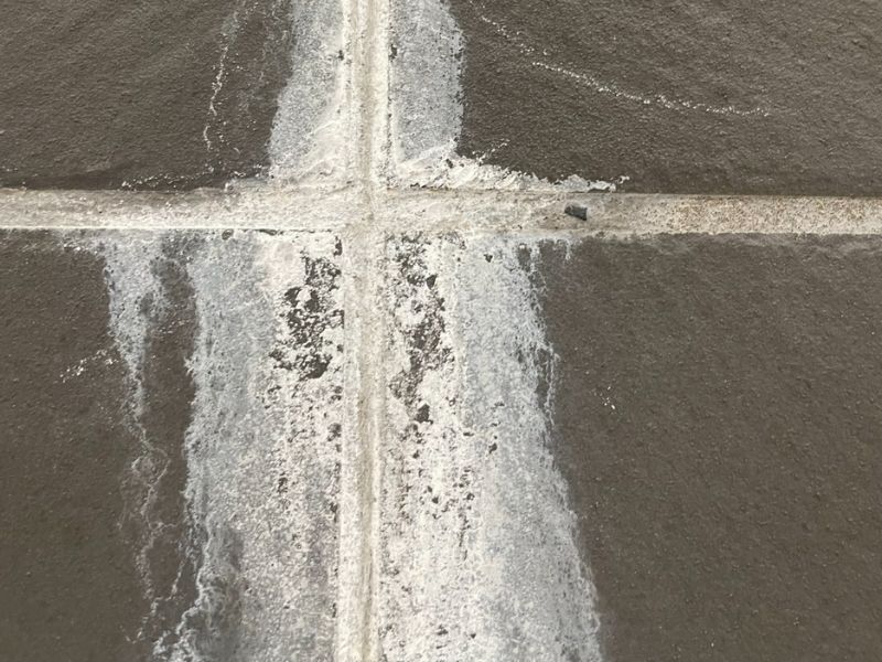 エフロで白く覆われた御影石