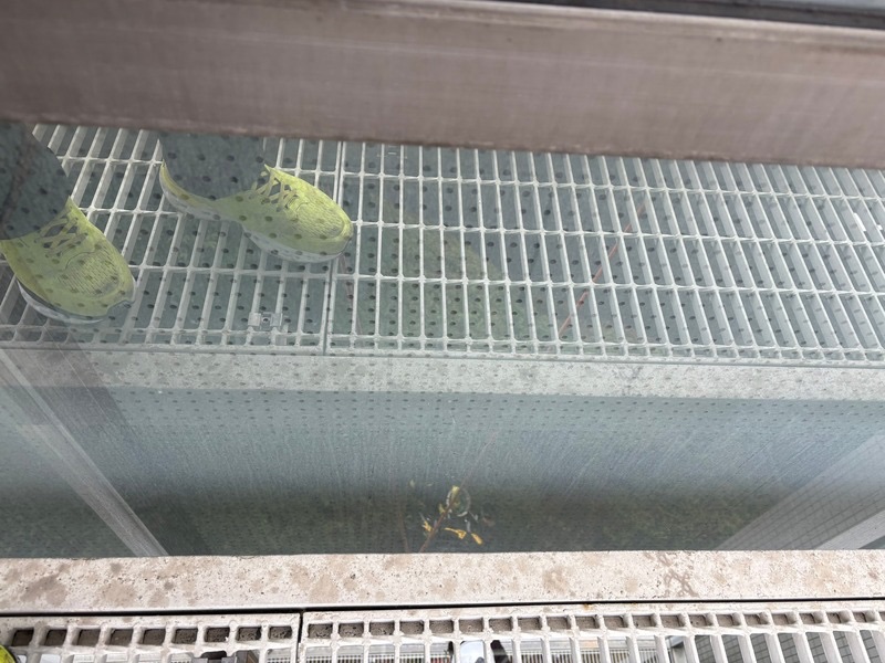 清掃前のオフィスビル窓ガラス。排気ガスの油膜と砂埃で外の景色が霞み、ビル全体が古く見える状態。