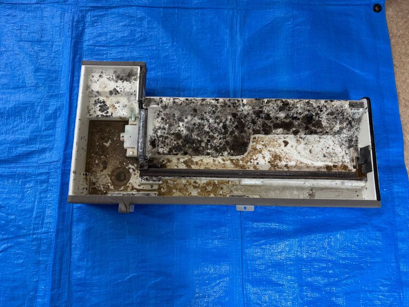 前橋市のオフィスで業務用エアコン分解洗浄前に確認されたドレンパンのカビ汚れ