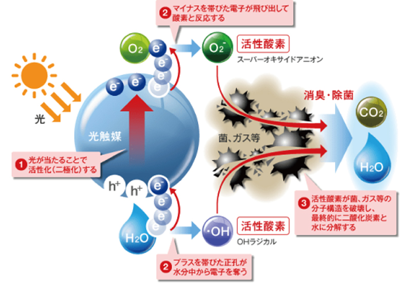 光触媒って何?What’s Photocatalyst?