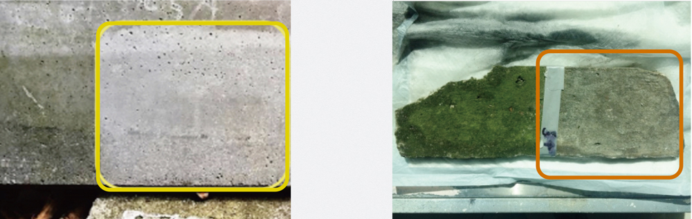 光触媒って何?What’s Photocatalyst?