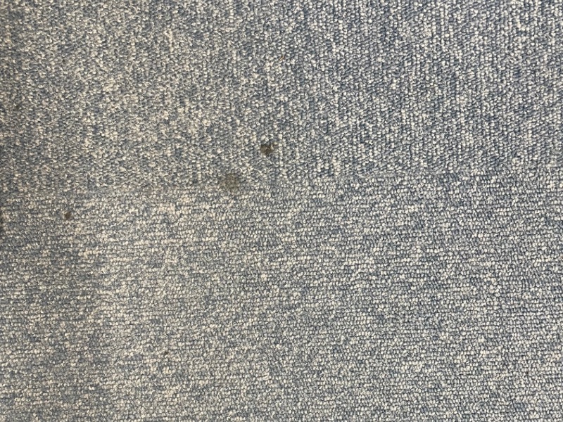 品川区オフィスの施工前カーペット。コーヒーなどのシミが残っている状態。